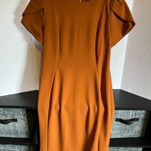 Calvin Klein Burnt Orange Career Wear Dress